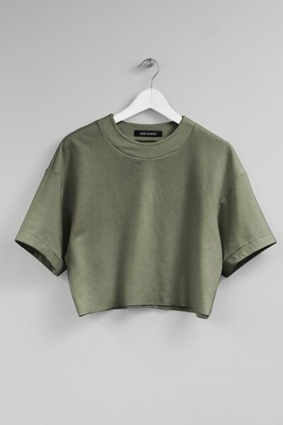 85411cad39301a4114dc377e45f4ac27